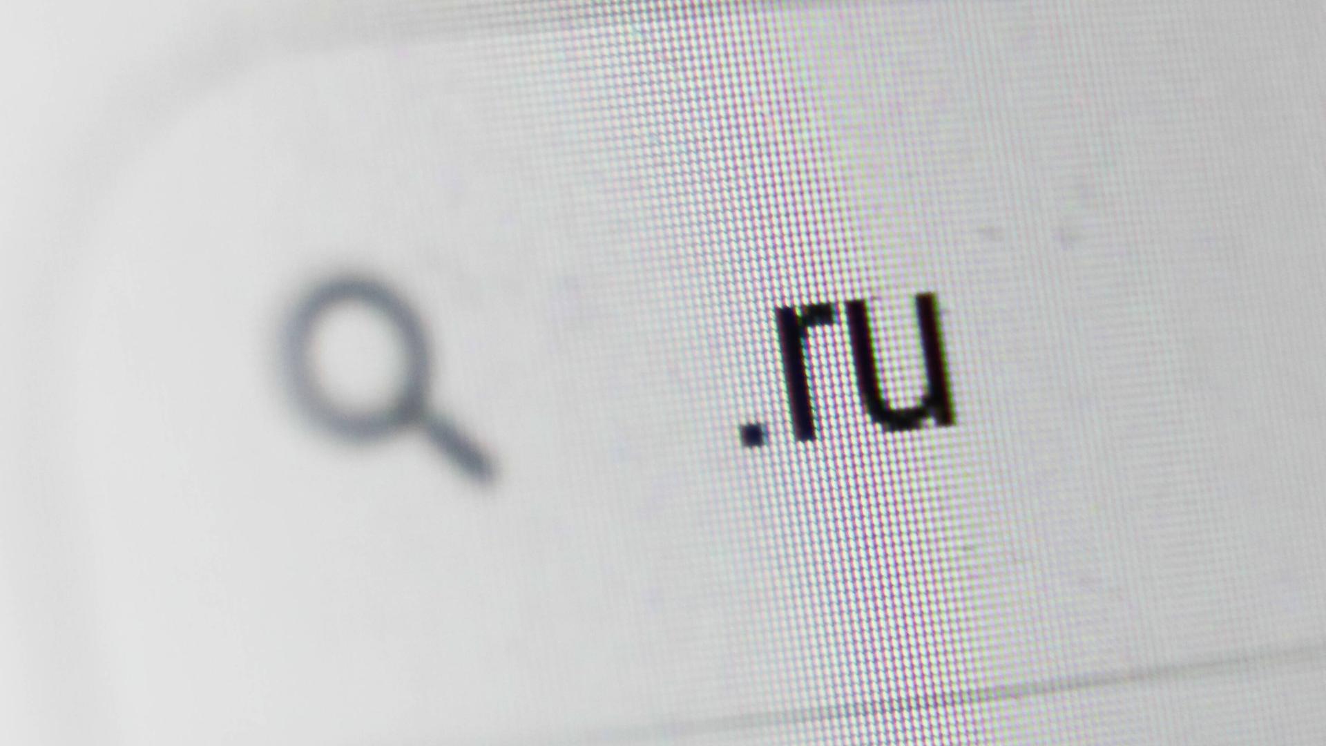 Bildschirmdarstellung einer Google-Suche nach Seiten mit .ru-Endung. Bildschirmdarstellung einer Google-Suche nach Seiten mit .ru-Endung.