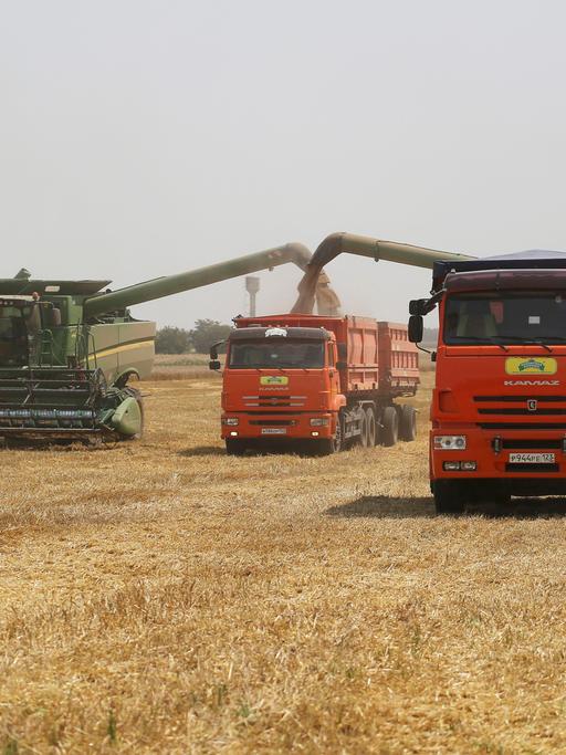 Weizenernte in der Ukraine: Mehrere Landmaschinen stehen auf einem Feld. 