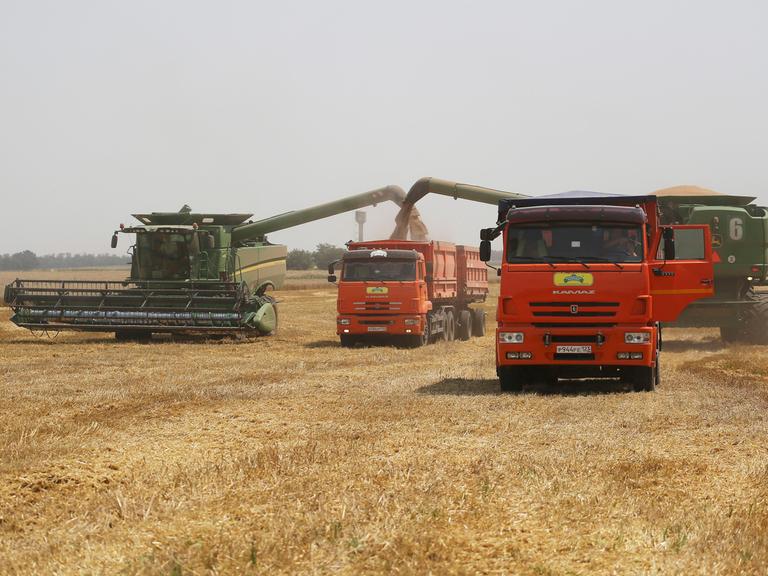 Weizenernte in der Ukraine: Mehrere Landmaschinen stehen auf einem Feld. 