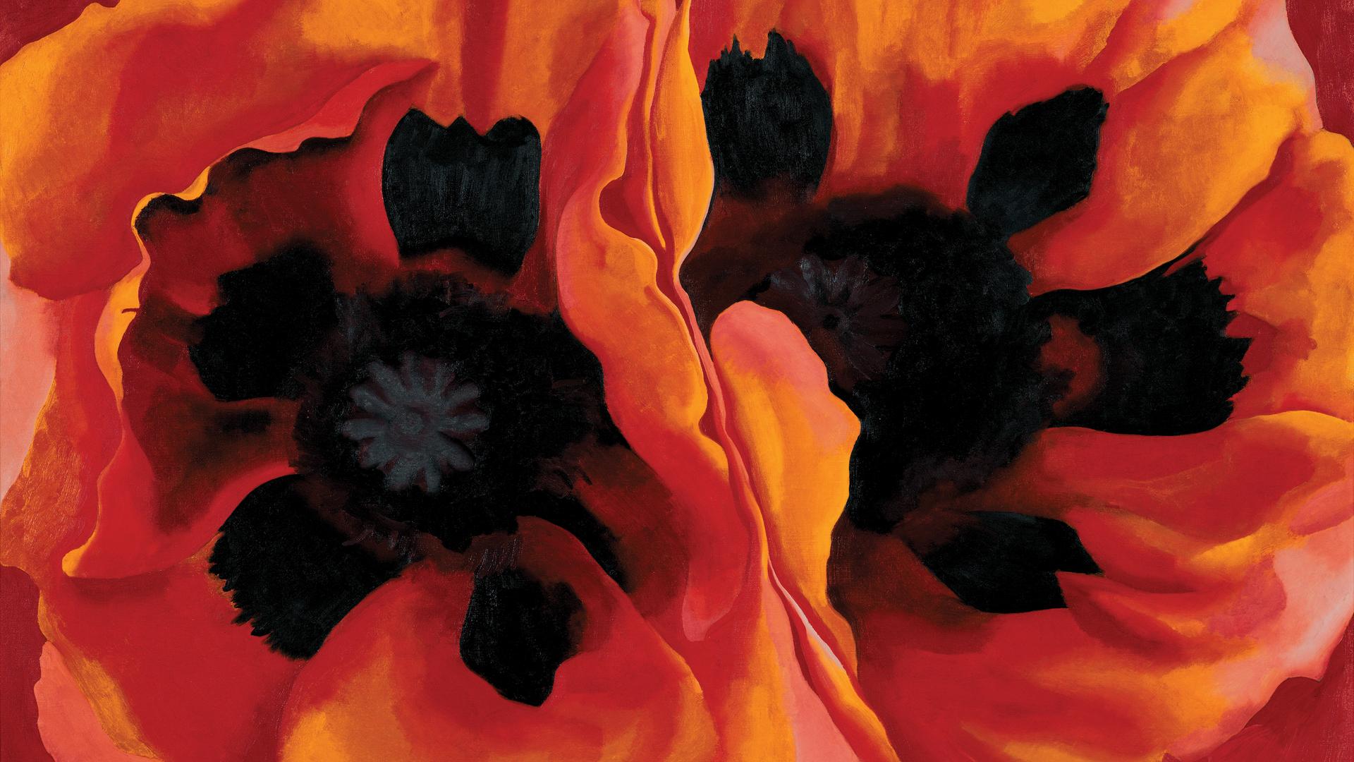 Zwei in Öl gemalte Mohnblumen Zwei in Öl gemalte Mohnblumen