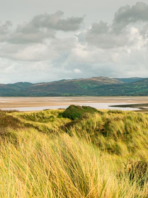 Ein Strand an der walisischen Küste.