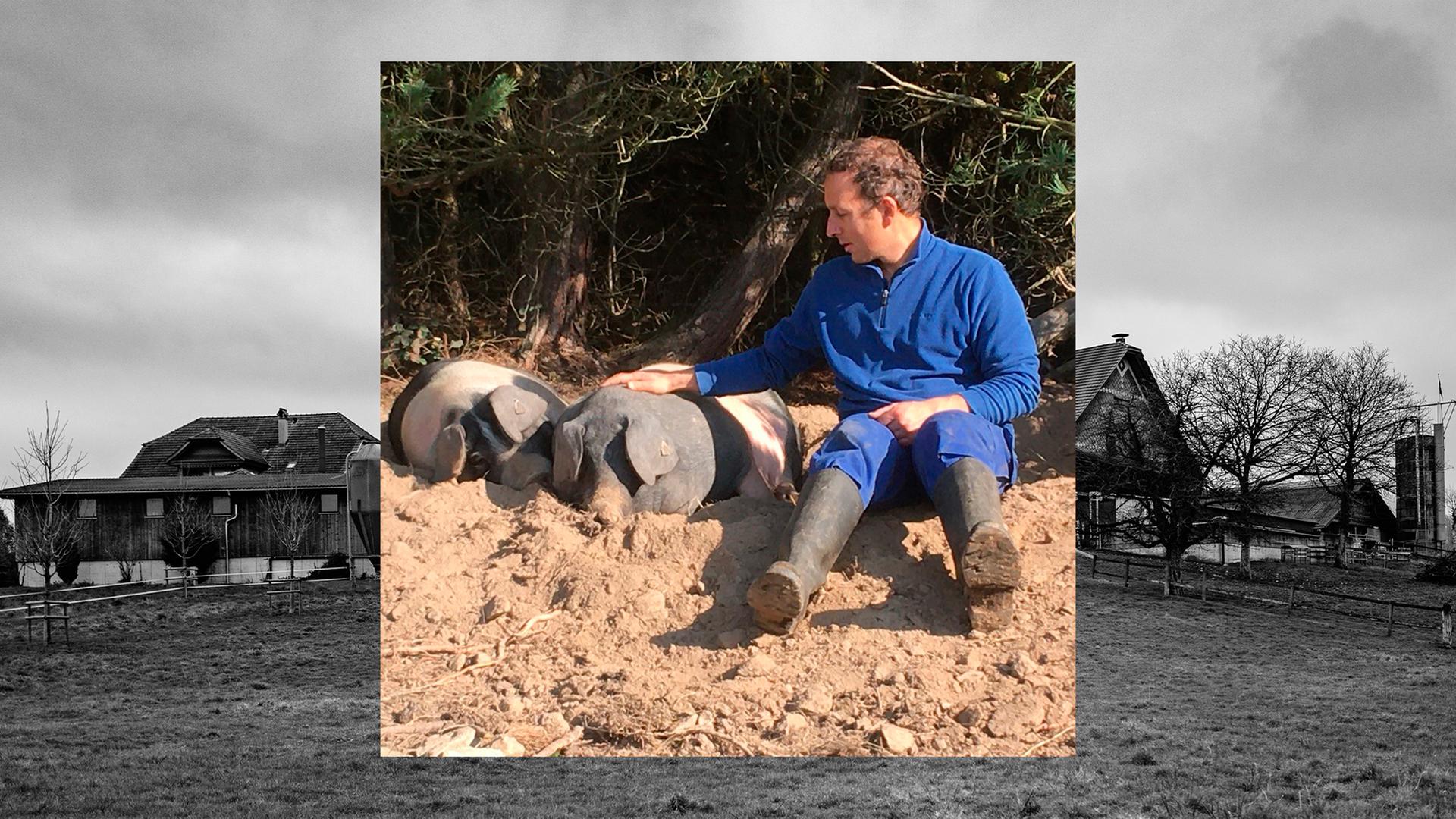 Bild in Bild: Vorn Agrarwissenschaftler Rupert Stäbler mit Schweinen im Sand. Hintergrund: Bauernhofszenerie in schwarz-weiß. Bild in Bild: Vorn Agrarwissenschaftler Rupert Stäbler mit Schweinen im Sand. Hintergrund: Bauernhofszenerie in schwarz-weiß.