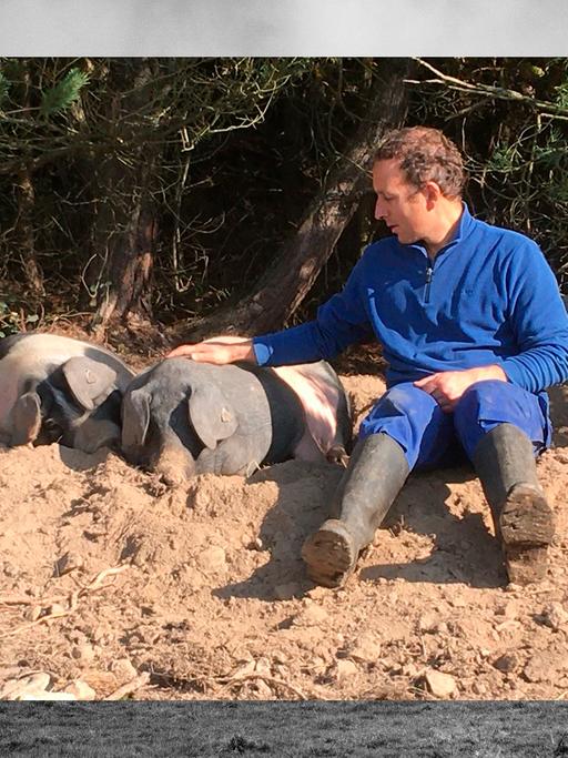 Bild in Bild: Vorn Agrarwissenschaftler Rupert Stäbler mit Schweinen im Sand. Hintergrund: Bauernhofszenerie in schwarz-weiß.