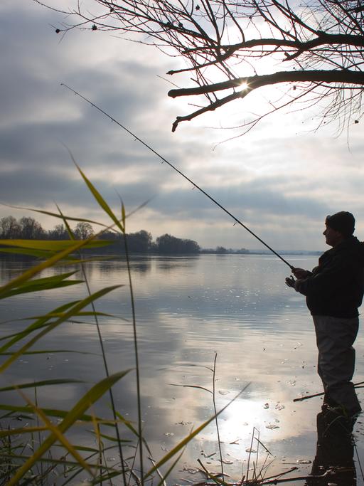 Ein Angler steht an dem deutsch-polnischen Grenzfluss Oder im Nationalpark Unteres Odertal im Nordosten von Brandenburg 