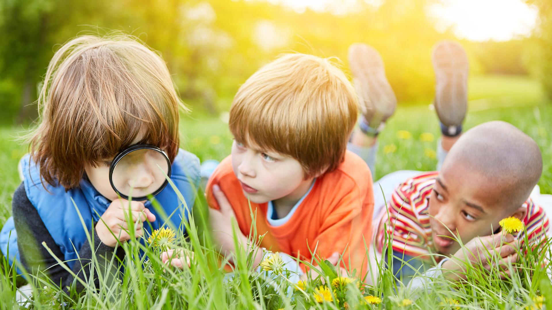 Drei Kinder liegen bäuchlings bei Sonnenschein auf der Wiese. Eines schaut durch eine Lupe, so als seien sie auf der Suche nach etwas. Drei Kinder liegen bäuchlings bei Sonnenschein auf der Wiese. Eines schaut durch eine Lupe, so als seien sie auf der Suche nach etwas.