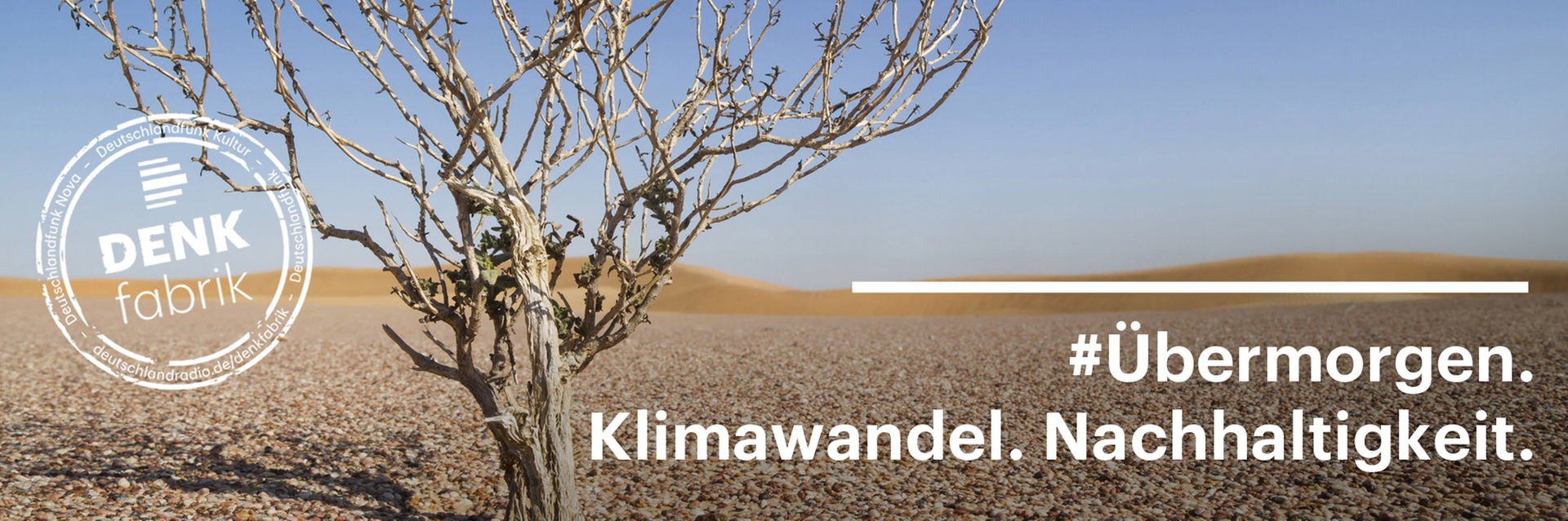 Ein vertrockneter Baum steht in einer Wüstenlandschaft.