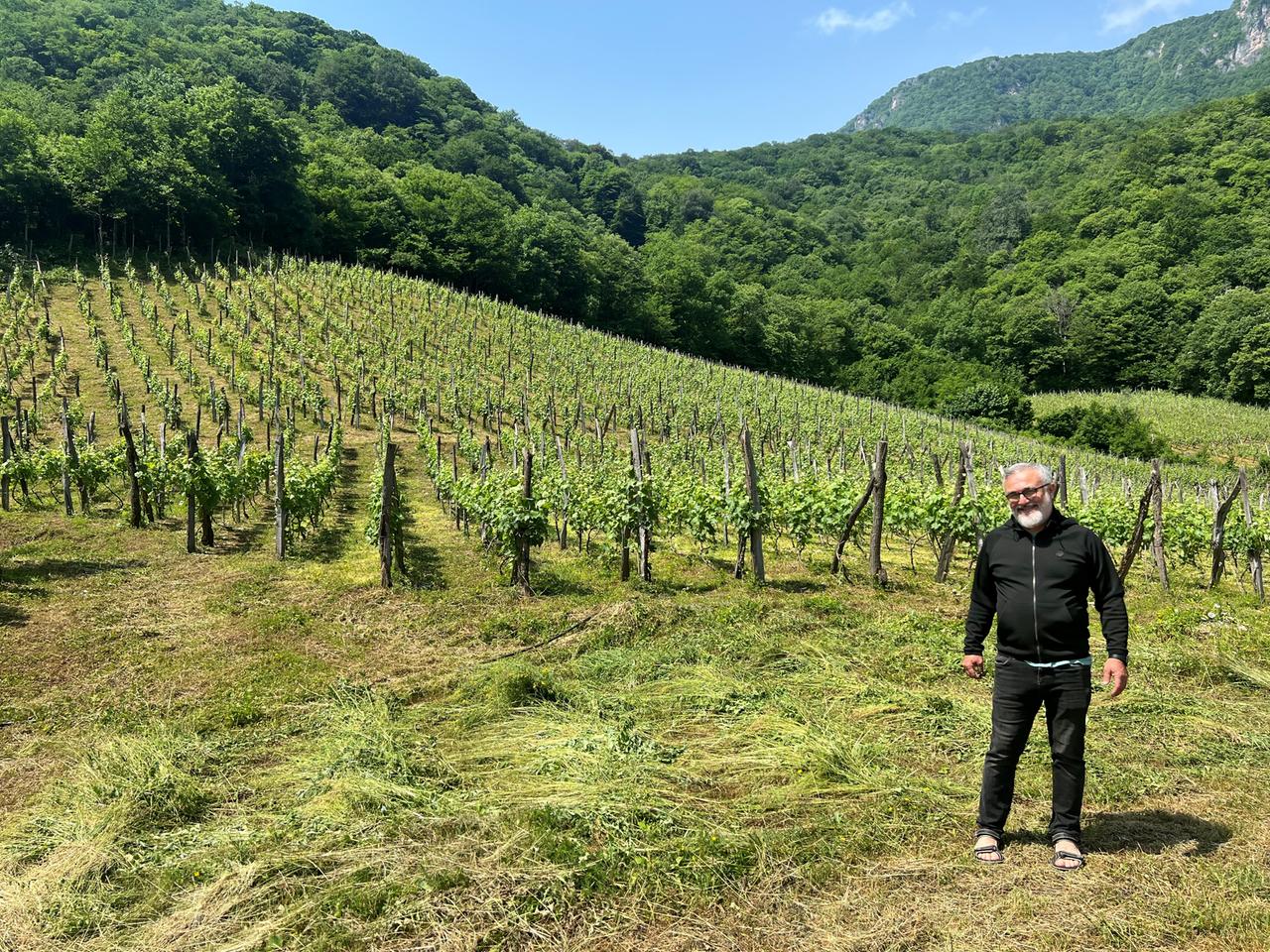 Der rundliche, kleine Weinbauer Paata steht in Georgien vor einem seiner Weinberge. Die Sonne strahlt. Er trägt schwarze Kleidung. Der rundliche, kleine Weinbauer Paata steht in Georgien vor einem seiner Weinberge. Die Sonne strahlt. Er trägt schwarze Kleidung.