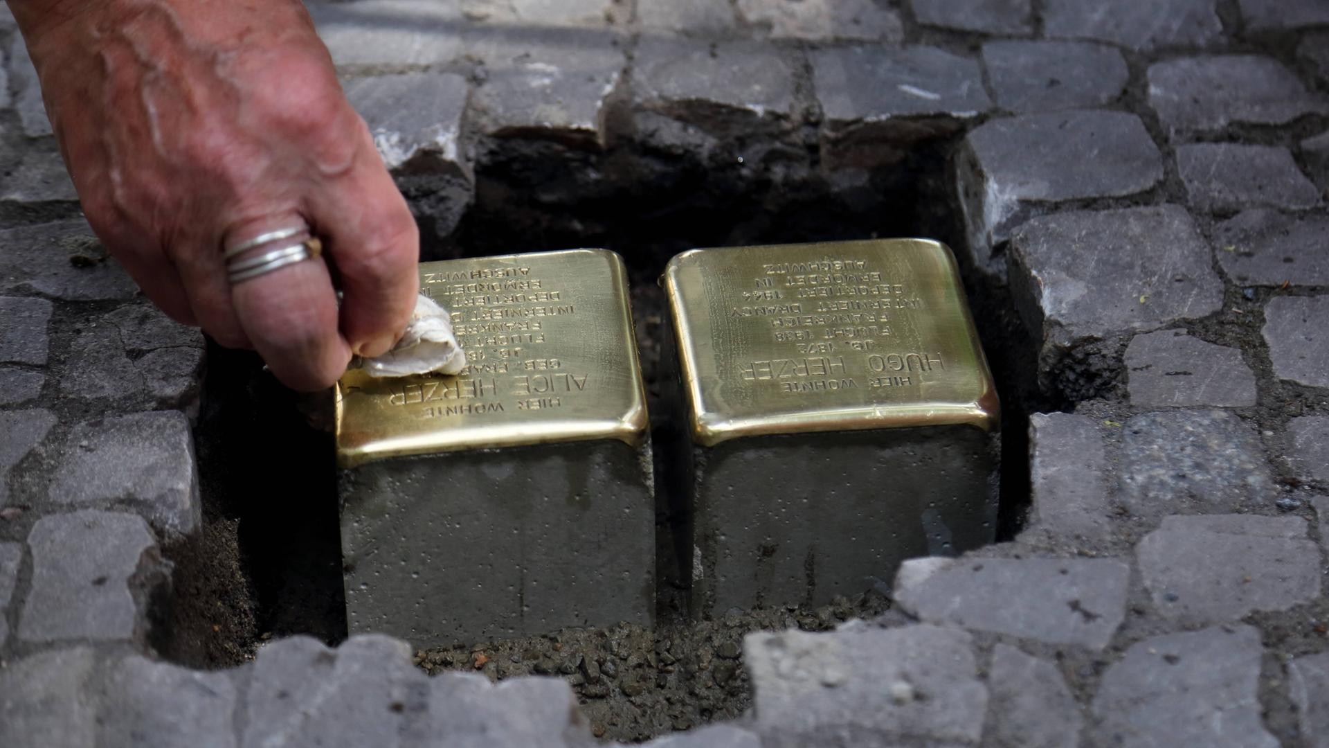Die Hand des Künstlers Gunter Demnig poliert einen Stolperstein, während einer Verlegung am 19. Mai 2022 in Potsdam. Die Hand des Künstlers Gunter Demnig poliert einen Stolperstein, während einer Verlegung am 19. Mai 2022 in Potsdam.