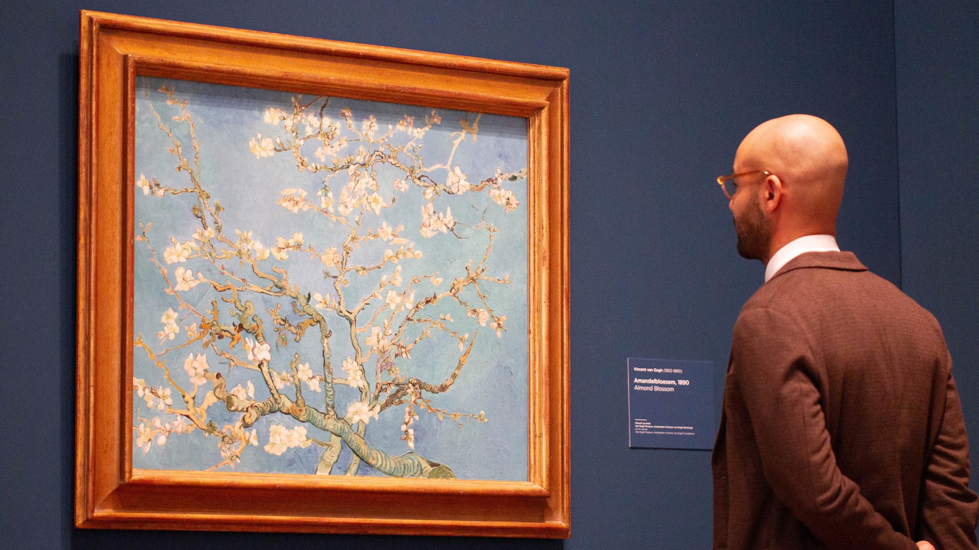 Ein Besucher steht vor dem berühmten Mandelblüten Bild von Vincent van Gogh in der Jubiläums-Sonderausstellung "Choosing Vincent - Portrait of a Family History" im Van Gogh Museum in Amsterdam, 2023.