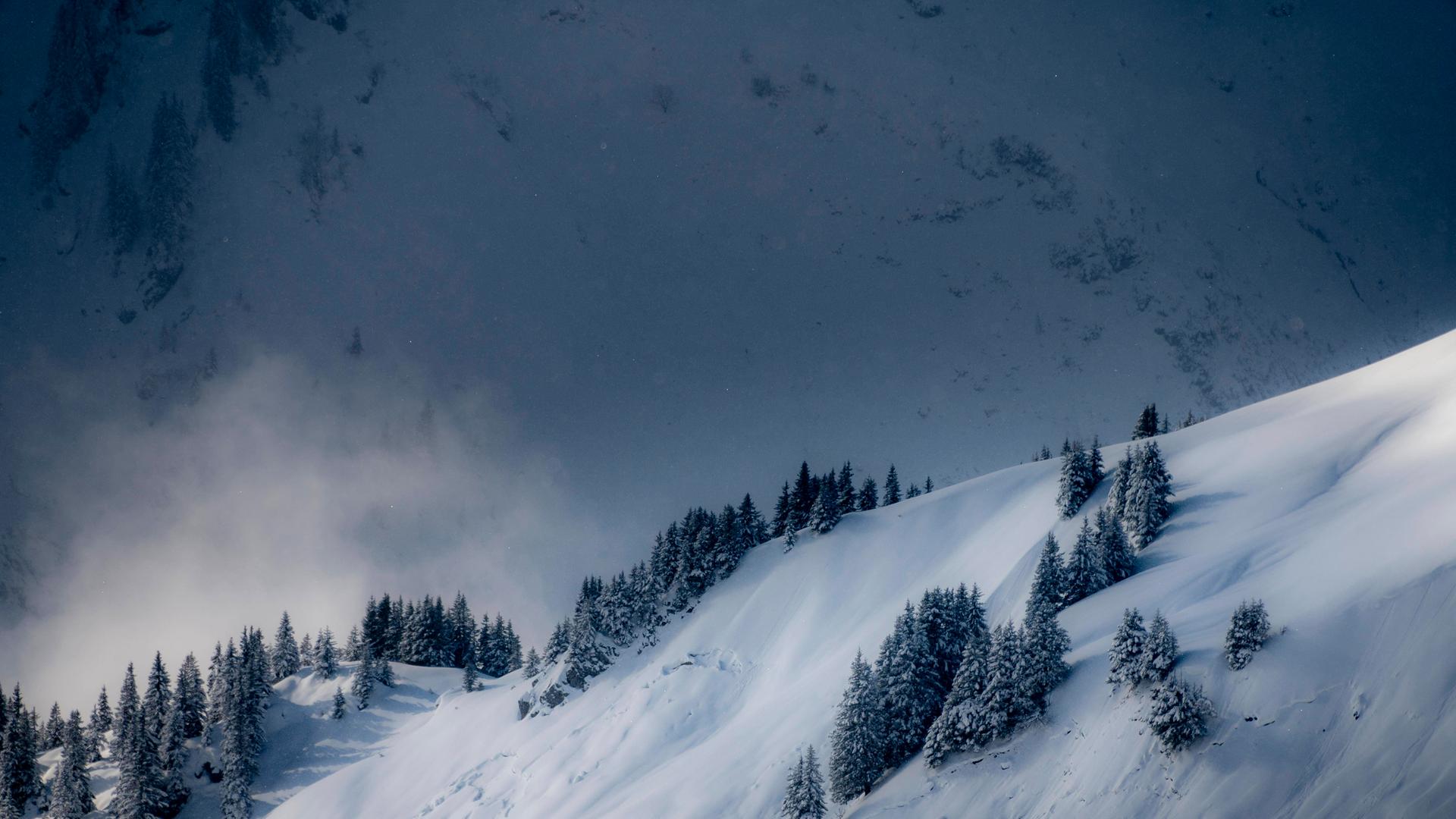 Verschneite Winterlandschaft mit Nebel im Kleinwalsertal, Österreich Verschneite Winterlandschaft mit Nebel im Kleinwalsertal, Österreich