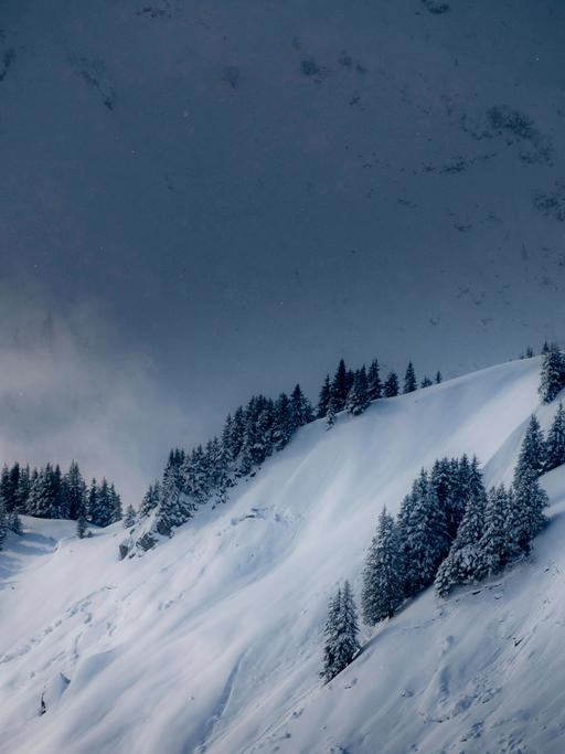 Verschneite Winterlandschaft mit Nebel im Kleinwalsertal, Österreich