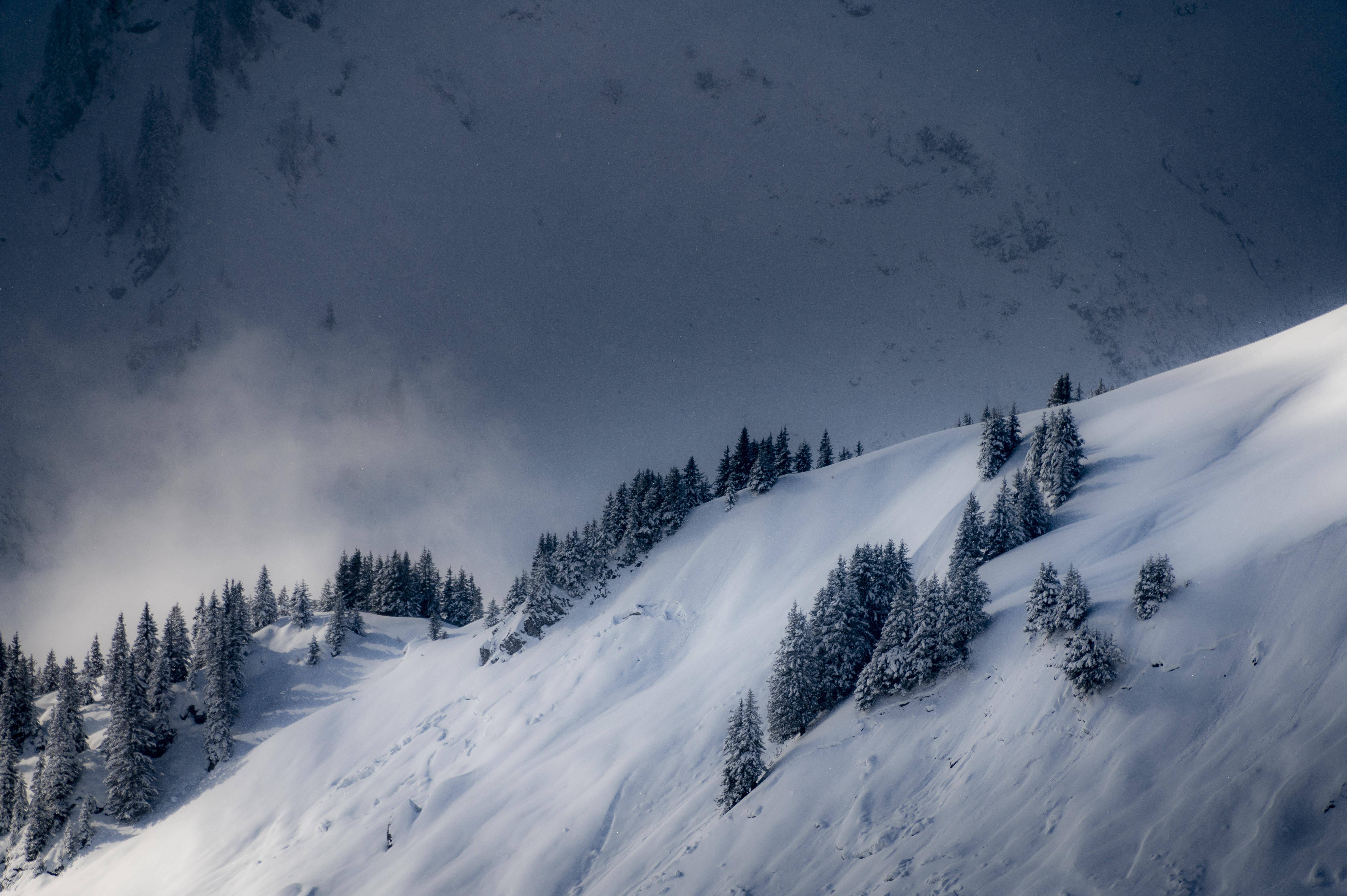 Wetter - An den Alpen Schnee, im Süden Auflockerungen, sonst bewölkt bis bedeckt