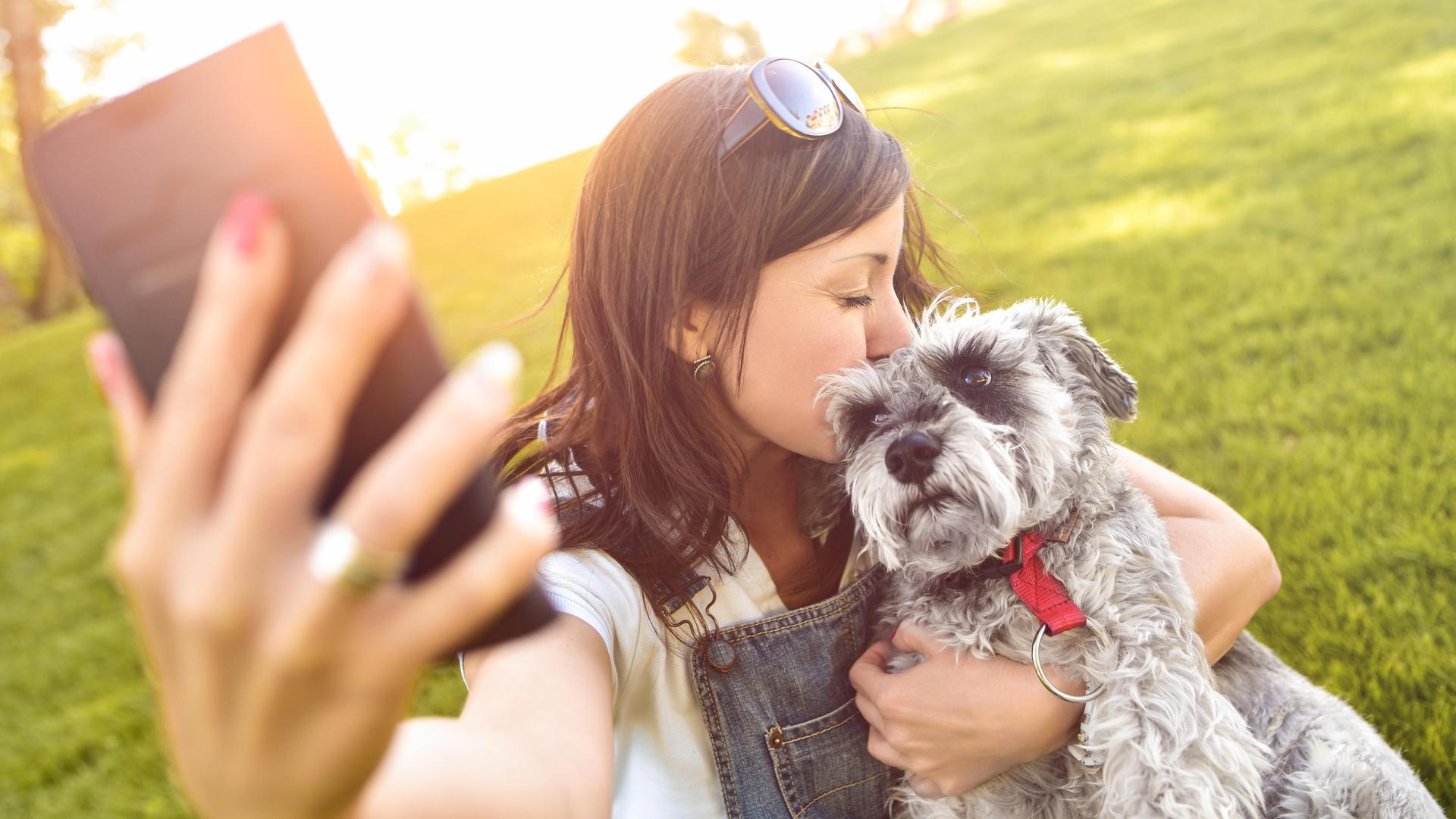 Eine junge Frau hält einen Hund im Arm und macht ein Foto mit einem Smartphone. Eine junge Frau hält einen Hund im Arm und macht ein Foto mit einem Smartphone.
