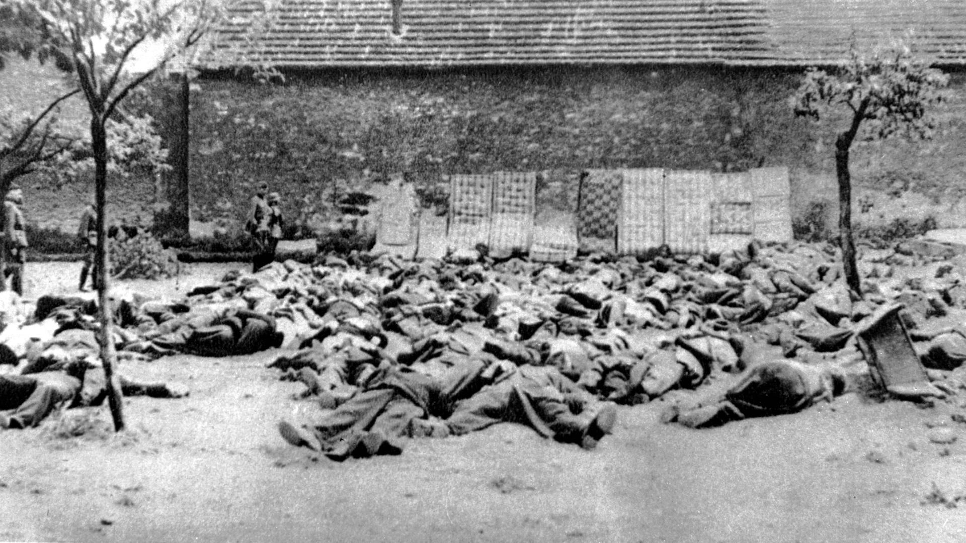Die Leichen der vor einer Scheunenmauer erschossenen Männer des Dorfes Lidice in Mähren. Im Hintergrund deutsche Soldaten