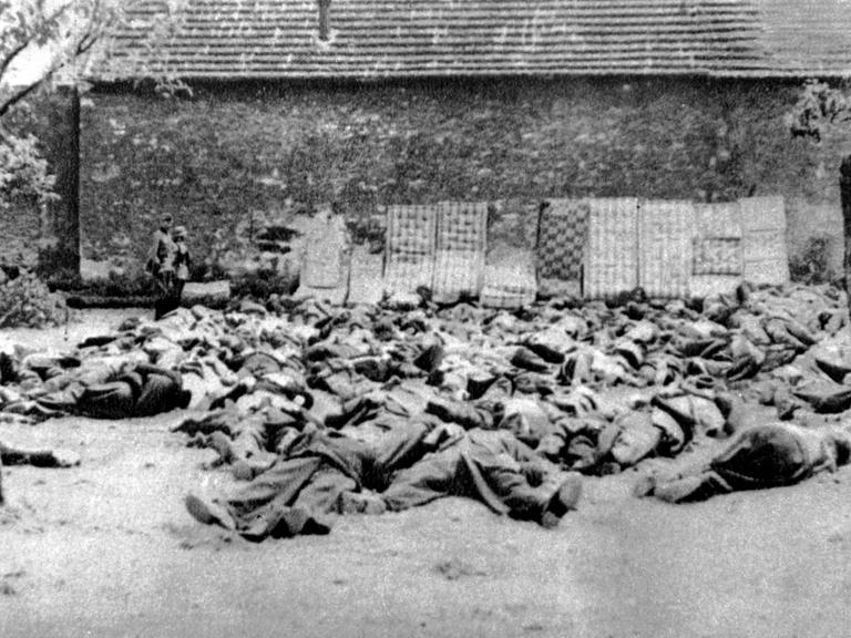 Die Leichen der vor einer Scheunenmauer erschossenen Männer des Dorfes Lidice in Mähren. Im Hintergrund deutsche Soldaten