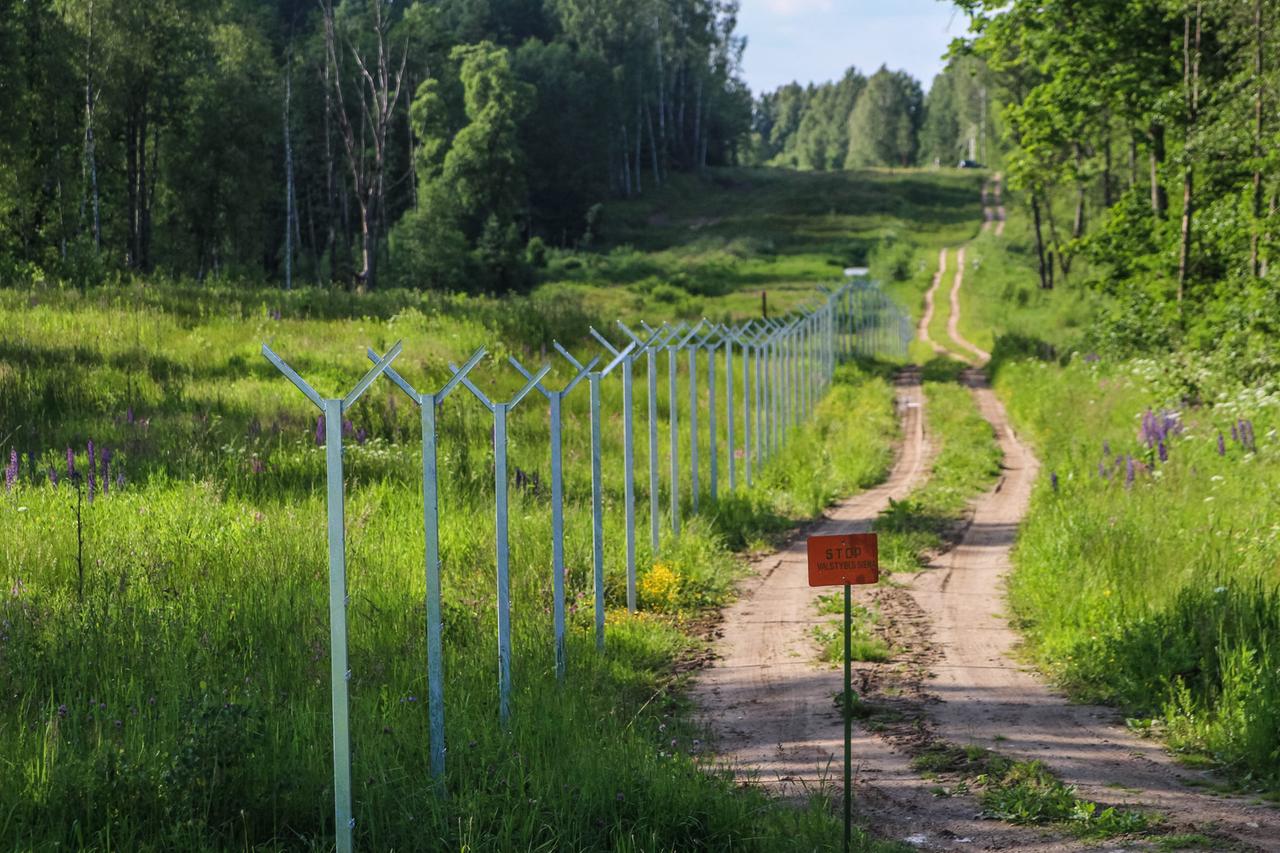 Grenzzaun inmitten von Wald und Natur Grenzzaun inmitten von Wald und Natur