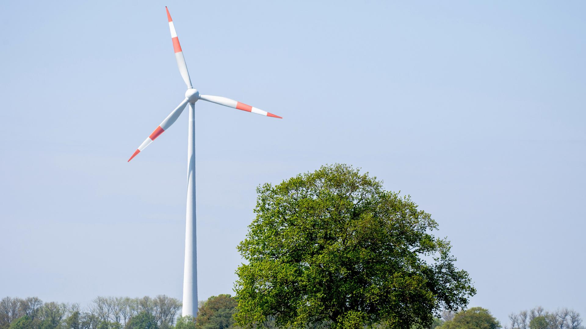 Eine Windkraftanlage steht bei sonnigem Wetter hinter blühendem Raps auf einem Feld im Landkreis Vechta.
