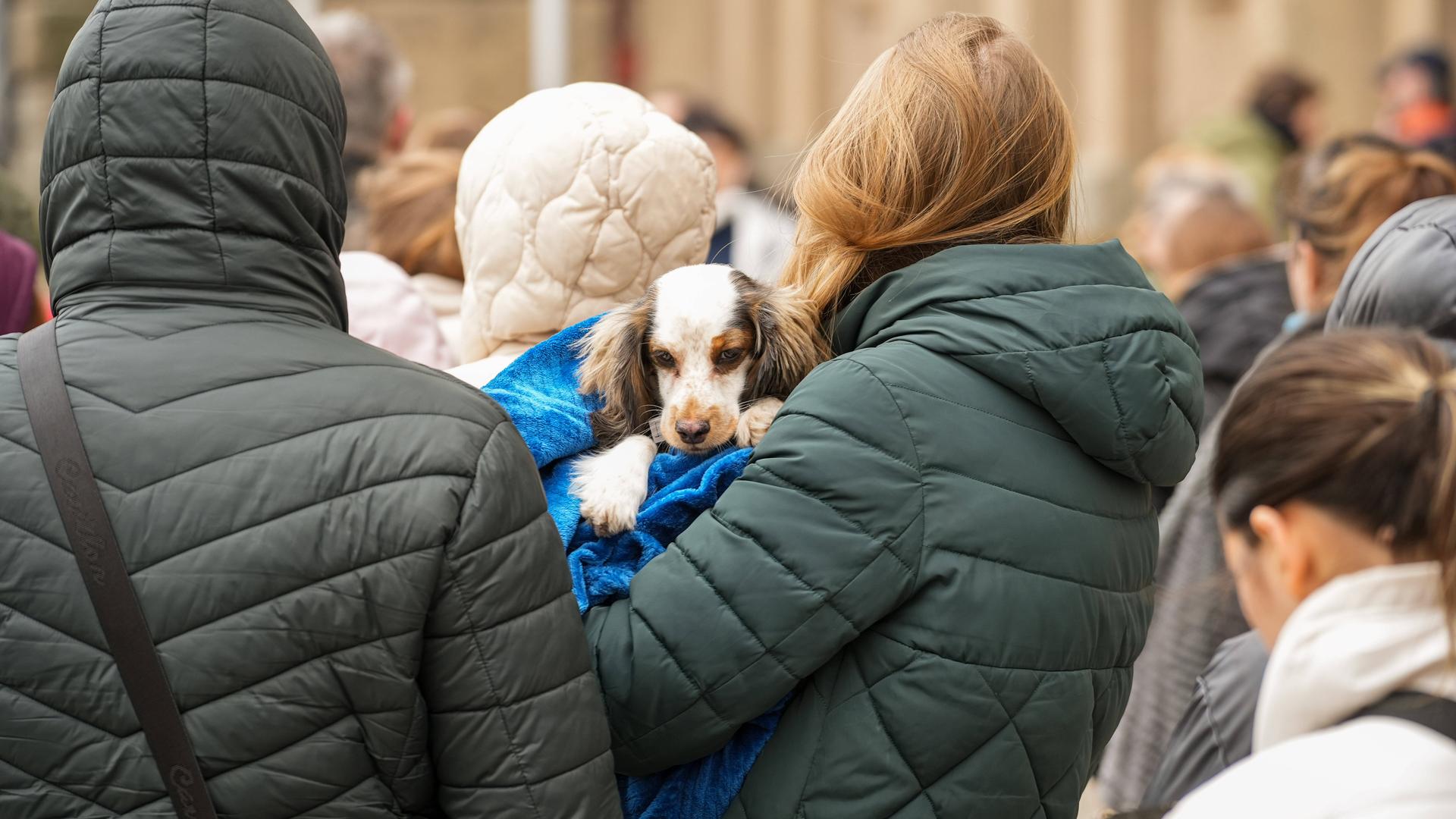 Ukrainische Flüchtlinge warten vorm Rathaus in Charlottenburg in einer langen Schlange. Eine Frau trägt einen Hund auf dem Arm. Ukrainische Flüchtlinge warten vorm Rathaus in Charlottenburg in einer langen Schlange. Eine Frau trägt einen Hund auf dem Arm.