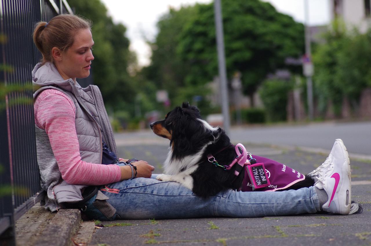 Tiere als therapeutische Hilfe Tiere als therapeutische Hilfe
