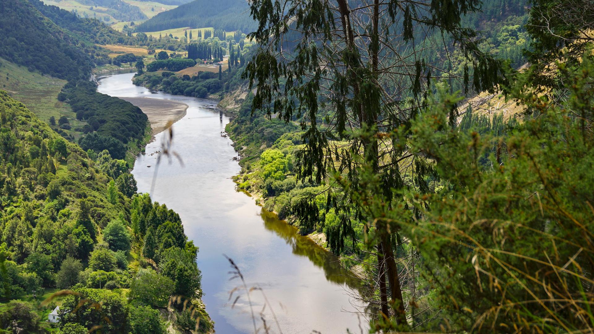 Durch eine Traumlandschaft windet sich der Whanganui Fluß, in dem sich die Wolken spiegeln.