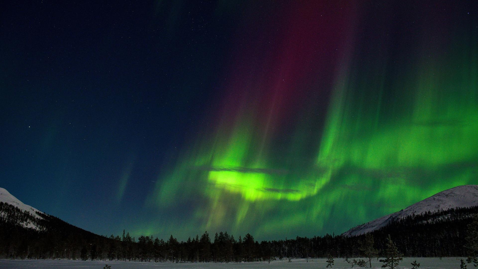 Ein verschneiter Tannenwald, darüber ein Winterhimmel, an dem grüne und rote Lichter leuchter. Es sind die Polarlichter. Ein verschneiter Tannenwald, darüber ein Winterhimmel, an dem grüne und rote Lichter leuchter. Es sind die Polarlichter.
