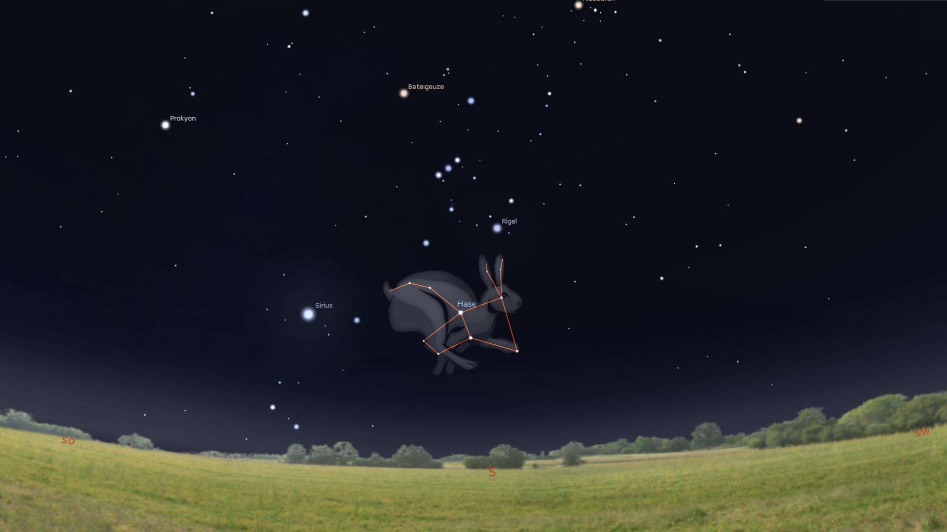 Gegen 22 Uhr hoppelt der Hase genau im Süden über den Himmel – unterhalb des markanten Orion