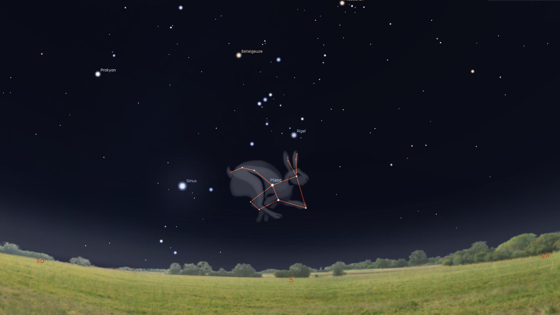 Gegen 22 Uhr hoppelt der Hase genau im Süden über den Himmel – unterhalb des markanten Orion Gegen 22 Uhr hoppelt der Hase genau im Süden über den Himmel – unterhalb des markanten Orion
