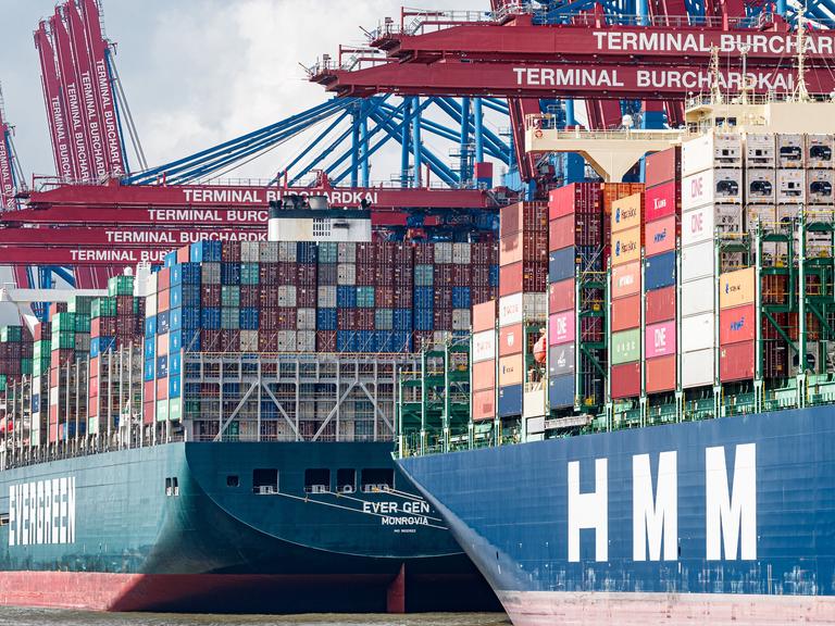 Containerschiffe liegen zum Be- und Entladen im Hamburger Hafen am Terminal Burchardkai
