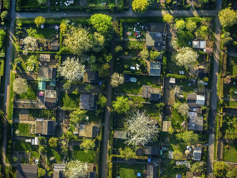 Parzellen einer Kleingartenanlage in einer Luftaufnahme.