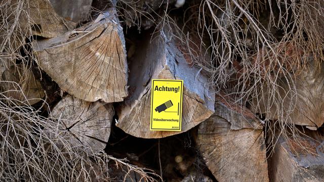 Auf einem Baumstamm klebt ein Sticker, der anzeigt, dass das Holz per Videoüberwachung vor Diebstahl gesichert wird.