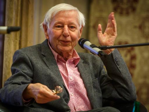 Der Schriftsteller Hans Magnus Enzensberger 