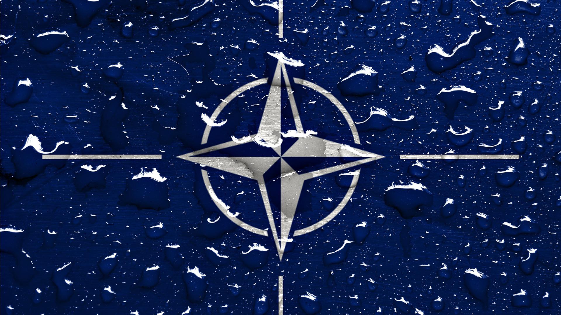 Militärbündnis - Neun NATO-Staaten rufen zu mehr militärischer Hilfe für Ukraine auf