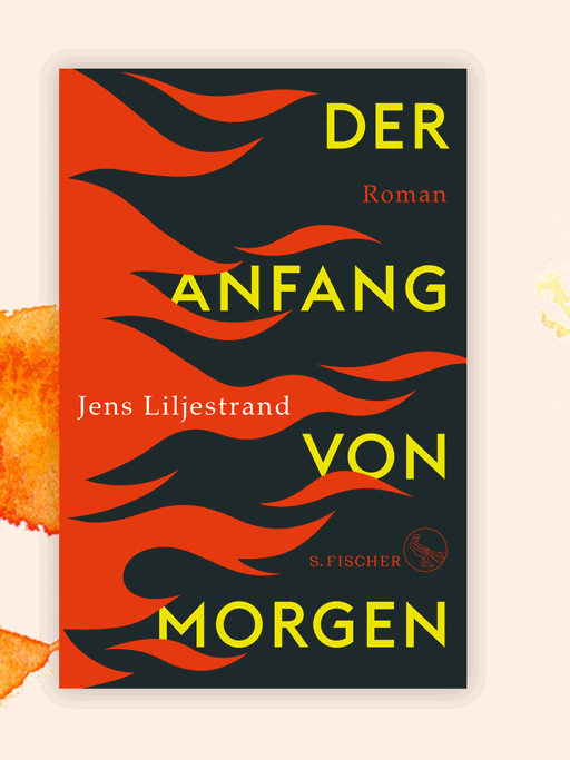 Cover des Romans "Der Anfang von morgen" von Jens Liljestrand.