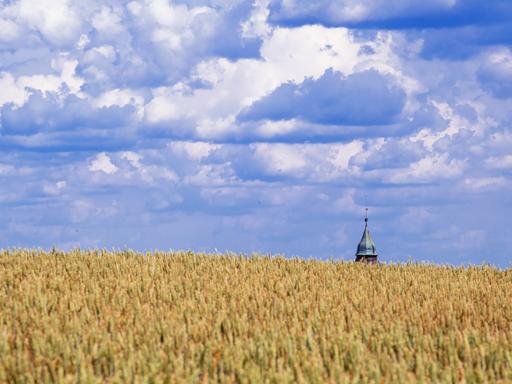 Eine Kirchturmspitze ragt über ein Getreidefeld.