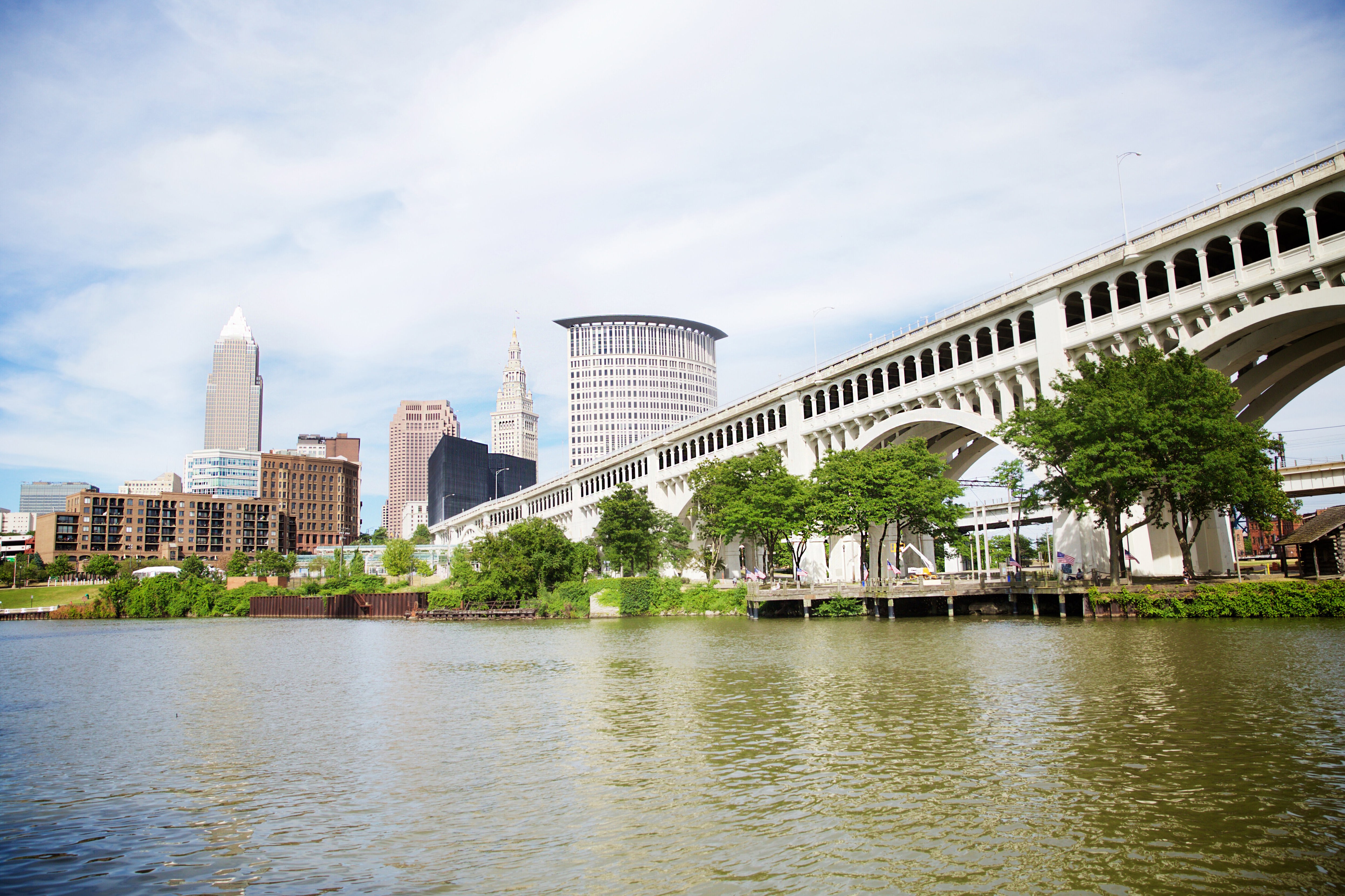 Aufforstung in Cleveland Unsere Stadt soll kühler werden