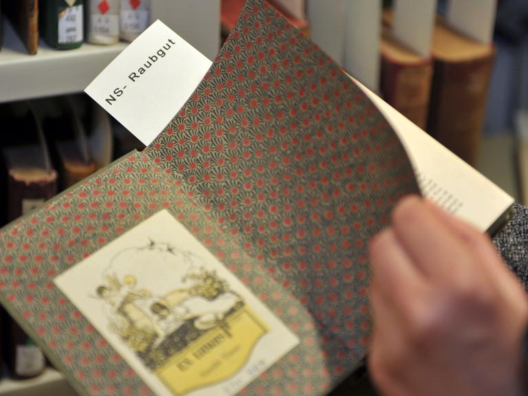 Ein Buch auf dem NS-Raubkunst steht