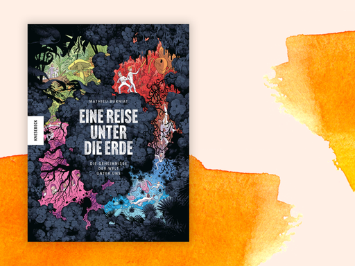 Das Buchcover von "Eine Reise unter die Erde" zeigt verschiedene Comicfiguren, die sich durch den Boden bewegen.