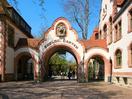 Eingang des Leipziger Zoos. Ein backsteingedecktes Tor mit drei Bögen. Den mittleren Bogen ziert ein Löwenkopf und die Aufschrift "Zoolog. Garten".