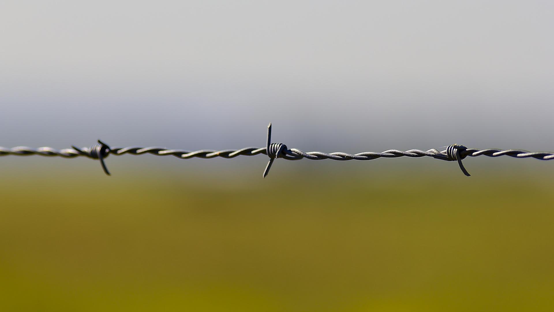 Ein Stacheldraht vor unscharfem Hintergrund. Obere Hälfte: bläulich-grauer Himmel. Untere Hälfte: gelb wie bei einem Rapsfeld. Ein Stacheldraht vor unscharfem Hintergrund. Obere Hälfte: bläulich-grauer Himmel. Untere Hälfte: gelb wie bei einem Rapsfeld.
