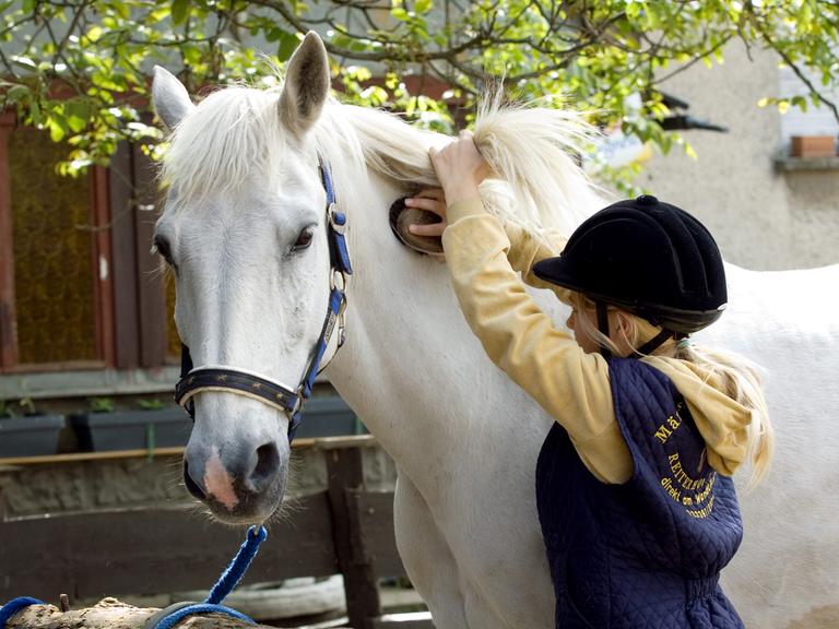 Ein Mädchen striegelt ihr Pony. 