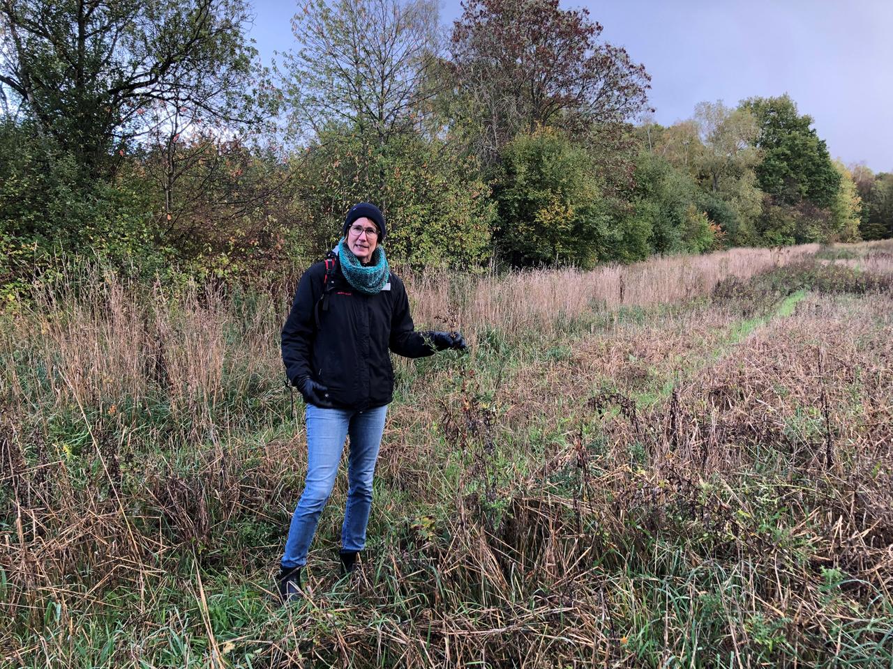 Agraringenieurin Johanna Gundlach vom Bundesamt für Naturschutz steht auf einer Brache, auf der gezielt eine Blühmischung eingesät wurde. Hier soll unter anderem Kamille wachsen, aber auch Disteln, eine wichtige Nektar- und Nahrungsquelle für Insekten. Agraringenieurin Johanna Gundlach vom Bundesamt für Naturschutz steht auf einer Brache, auf der gezielt eine Blühmischung eingesät wurde. Hier soll unter anderem Kamille wachsen, aber auch Disteln, eine wichtige Nektar- und Nahrungsquelle für Insekten.