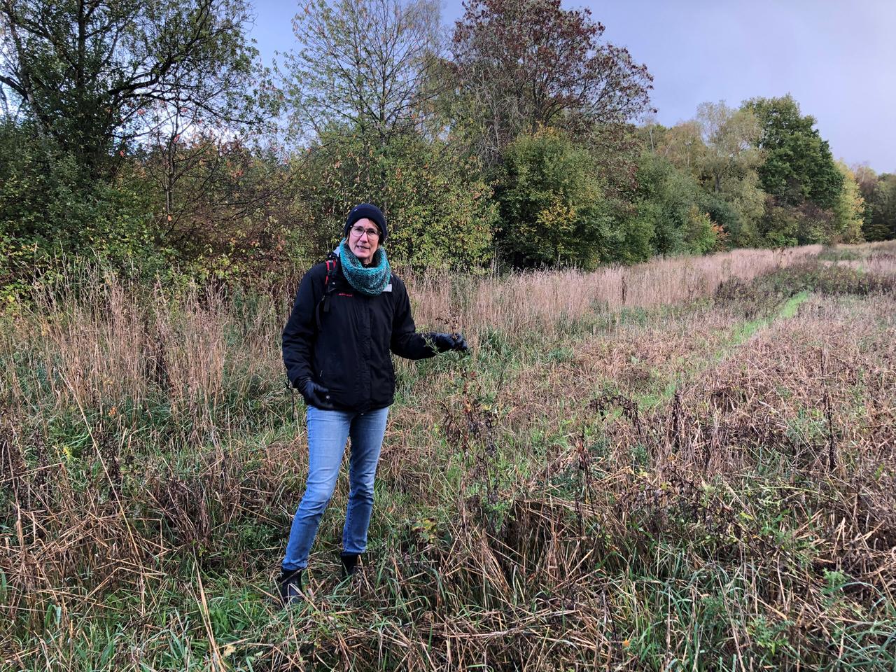 L'agronomo Johanna Gundlach dell'Agenzia federale per la conservazione della natura si trova su un terreno arido cosparso di un mosaico di fiori.  Si dice che qui crescano tra l'altro la camomilla, ma anche i cardi, importante fonte di nettare e cibo per gli insetti.