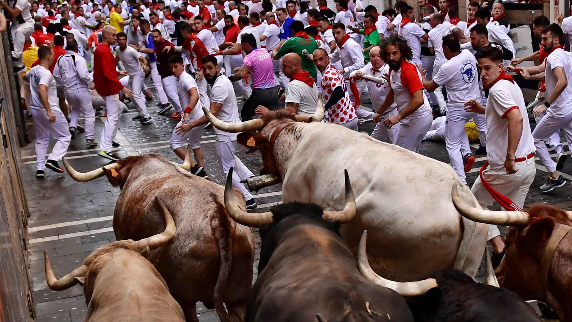 In der spanischen Stadt Pamplona laufen bei einem Fest Menschen vor Stieren in der Stadt weg. In der spanischen Stadt Pamplona laufen bei einem Fest Menschen vor Stieren in der Stadt weg.