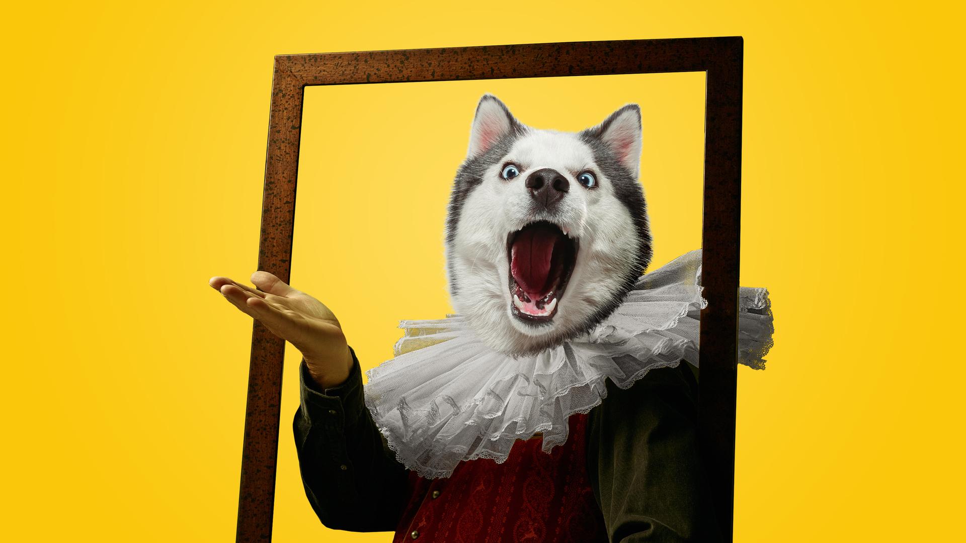 Collage einer Figur aus Mensch und Wolf, die aus einem Bilderrahmen schaut und singt. Der Bilderrahmen steht vor einem gelben Hintergrund. Collage einer Figur aus Mensch und Wolf, die aus einem Bilderrahmen schaut und singt. Der Bilderrahmen steht vor einem gelben Hintergrund.
