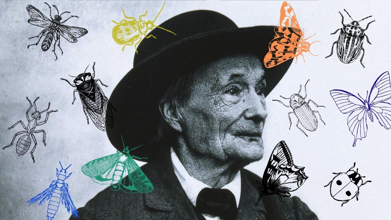 Collage vom Portrait Jean-Henri Fabre mit Insekten. Collage vom Portrait Jean-Henri Fabre mit Insekten.