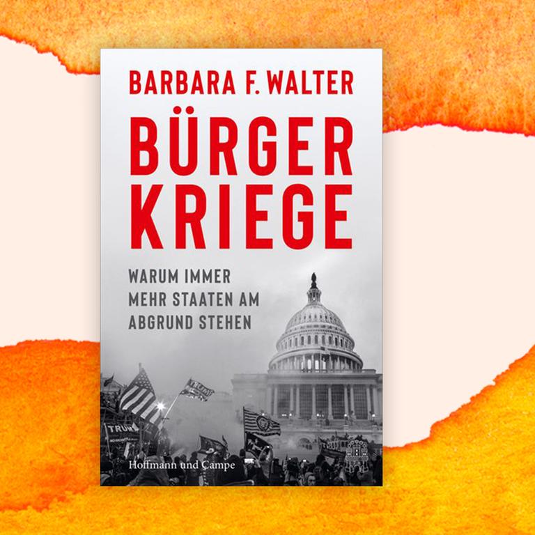 Barbara F. Walter: „Bürgerkriege. Warum immer mehr Staaten am Abgrund stehen“ – Die Gefahr in der Handfläche