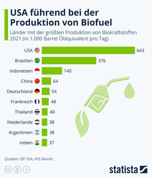 Wodurch Wird Kraftstoff Verschwendet Und Die Umwelt Belastet Biodiesel, Wasserstoff, E-Fuels - Welche synthetischen Kraftstoffe