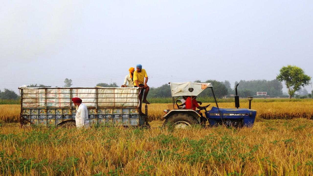 Fahrzeuge in Feldern: Ernte auf dem Feld im indischen Punjab.