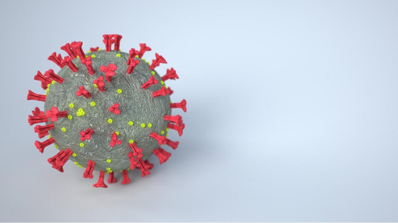 Die 3-D-Illustration eines Coronavirus ist vor einem hellen Hintergrund zu sehen. Die 3-D-Illustration eines Coronavirus ist vor einem hellen Hintergrund zu sehen.