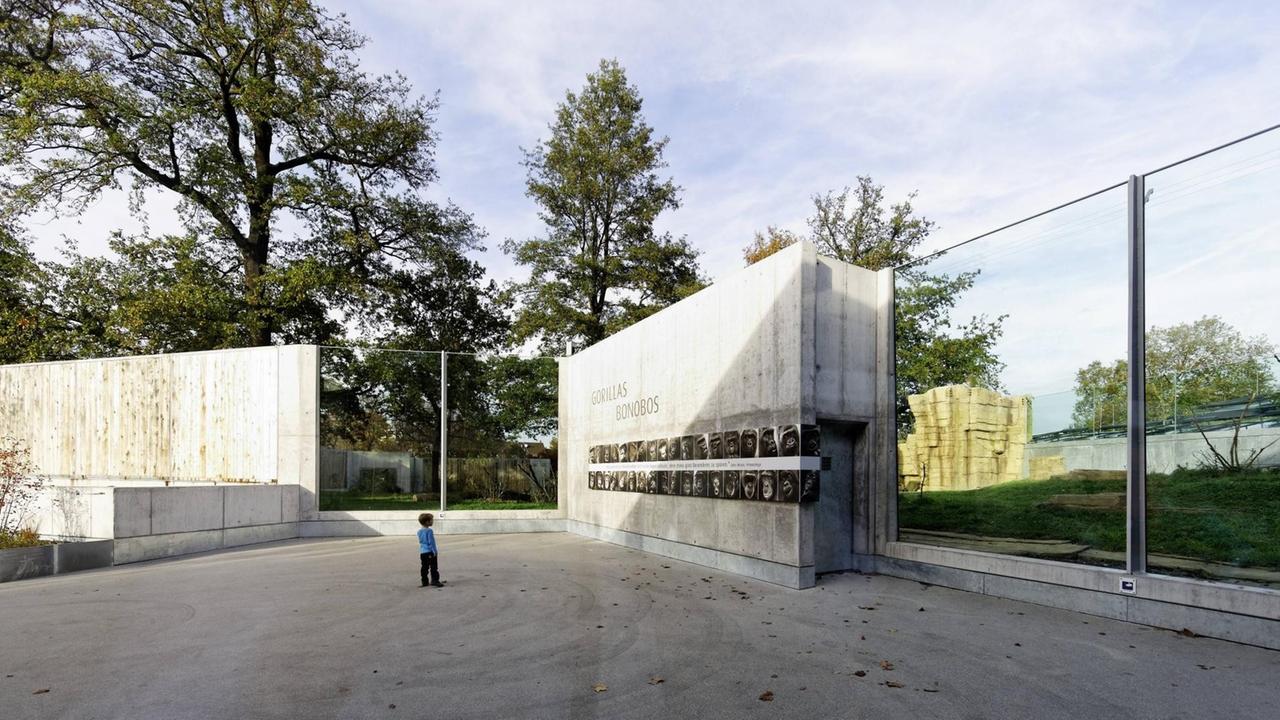 Ein kleiner Junge blickt auf den botanisch-zoologischen Garten Wilhelma in Stuttgart mit seinem modernen Affenhaus für Gorillas und Bonobos. Ein kleiner Junge blickt auf den botanisch-zoologischen Garten Wilhelma in Stuttgart mit seinem modernen Affenhaus für Gorillas und Bonobos.